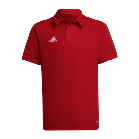 Polo adidas Entrada 22 niño